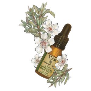 Tahe Organic Care Tea Tree Essential Oil 10ml